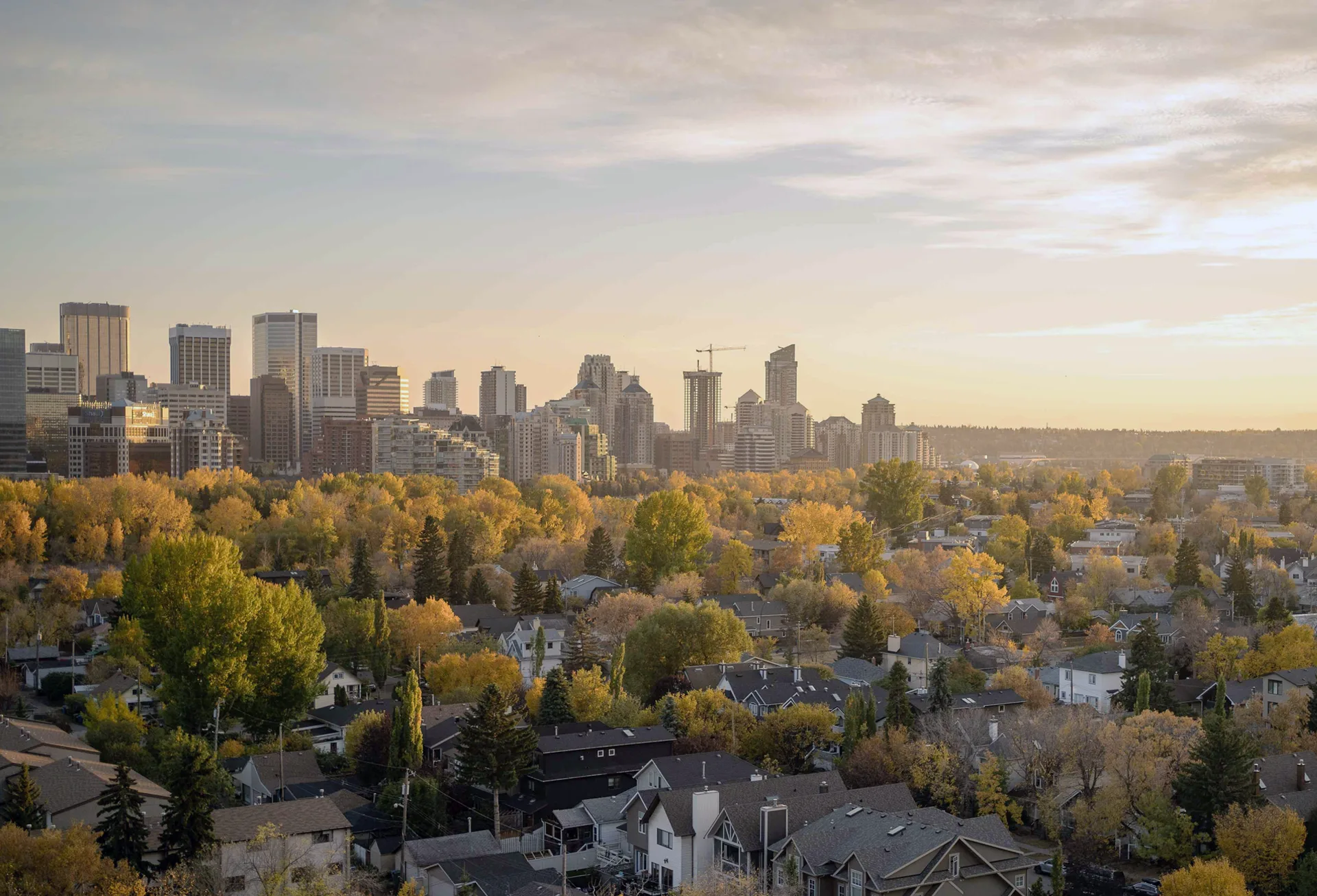 South East Calgary Realtor